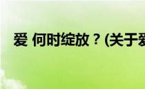 爱 何时绽放？(关于爱 何时绽放？的简介)