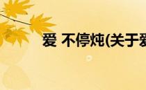 爱 不停炖(关于爱 不停炖的简介)