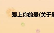 爱上你的爱(关于爱上你的爱的简介)