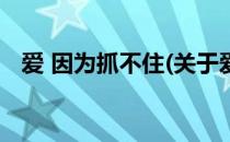 爱 因为抓不住(关于爱 因为抓不住的简介)