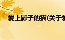 爱上影子的猫(关于爱上影子的猫的简介)