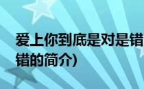 爱上你到底是对是错(关于爱上你到底是对是错的简介)