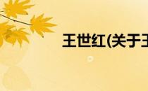 王世红(关于王世红的简介)