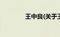 王中良(关于王中良的简介)