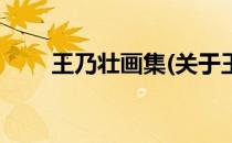 王乃壮画集(关于王乃壮画集的简介)
