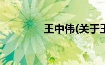 王中伟(关于王中伟的简介)