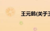 王元鹅(关于王元鹅的简介)