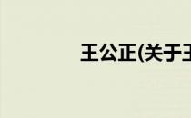 王公正(关于王公正的简介)