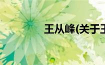 王从峰(关于王从峰的简介)
