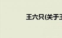 王六只(关于王六只的简介)