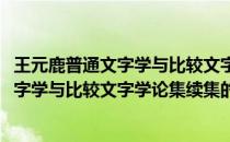 王元鹿普通文字学与比较文字学论集续集(关于王元鹿普通文字学与比较文字学论集续集的简介)