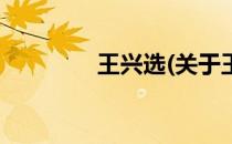 王兴选(关于王兴选的简介)