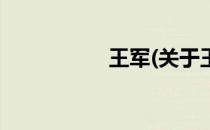 王军(关于王军的简介)