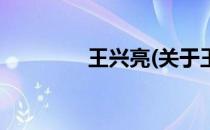 王兴亮(关于王兴亮的简介)