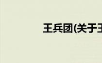 王兵团(关于王兵团的简介)