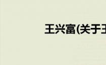 王兴富(关于王兴富的简介)