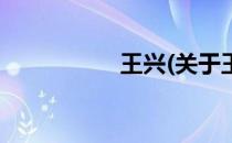 王兴(关于王兴的简介)