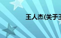 王人杰(关于王人杰的简介)