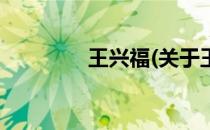 王兴福(关于王兴福的简介)