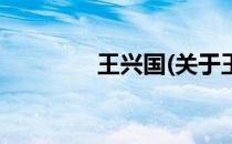 王兴国(关于王兴国的简介)