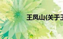 王凤山(关于王凤山的简介)