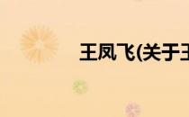 王凤飞(关于王凤飞的简介)
