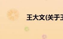 王大文(关于王大文的简介)
