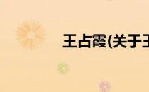王占霞(关于王占霞的简介)