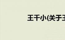 王千小(关于王千小的简介)
