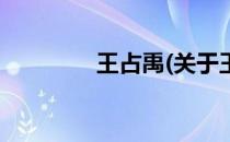 王占禹(关于王占禹的简介)