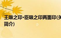 王吸之印·臣吸之印两面印(关于王吸之印·臣吸之印两面印的简介)