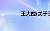 王大成(关于王大成的简介)