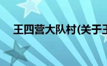王四营大队村(关于王四营大队村的简介)