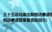 王十五司马弟出郭相访兼遗营草堂资(关于王十五司马弟出郭相访兼遗营草堂资的简介)