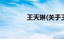 王天琳(关于王天琳的简介)