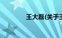 王大磊(关于王大磊的简介)