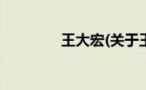 王大宏(关于王大宏的简介)