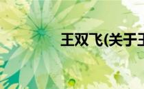 王双飞(关于王双飞的简介)