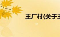王厂村(关于王厂村的简介)