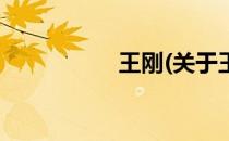 王刚(关于王刚的简介)