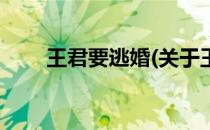 王君要逃婚(关于王君要逃婚的简介)