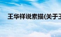 王华祥说素描(关于王华祥说素描的简介)