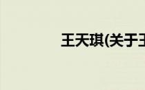 王天琪(关于王天琪的简介)