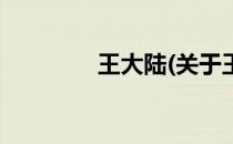 王大陆(关于王大陆的简介)
