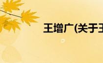 王增广(关于王增广的简介)