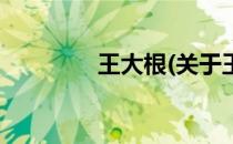 王大根(关于王大根的简介)