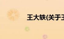 王大轶(关于王大轶的简介)
