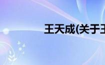 王天成(关于王天成的简介)