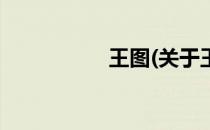 王图(关于王图的简介)