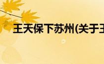 王天保下苏州(关于王天保下苏州的简介)